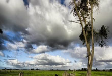 [NBA]兰德尔抛投不进 戈贝尔强起双手补扣.