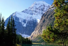 v体育官网：内马尔派对女郎：别骂了，招待宾客只是我的工作，没想当正宫.